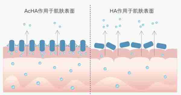 药学博士：护肤界“补水神器”透明质酸（玻尿酸），真的有用吗？