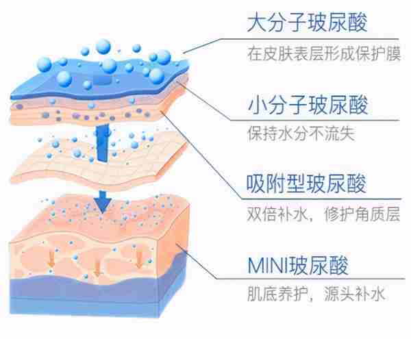 药学博士：护肤界“补水神器”透明质酸（玻尿酸），真的有用吗？