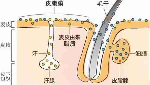 你可能不知道，这才是大家都爱的护手界“天花板”